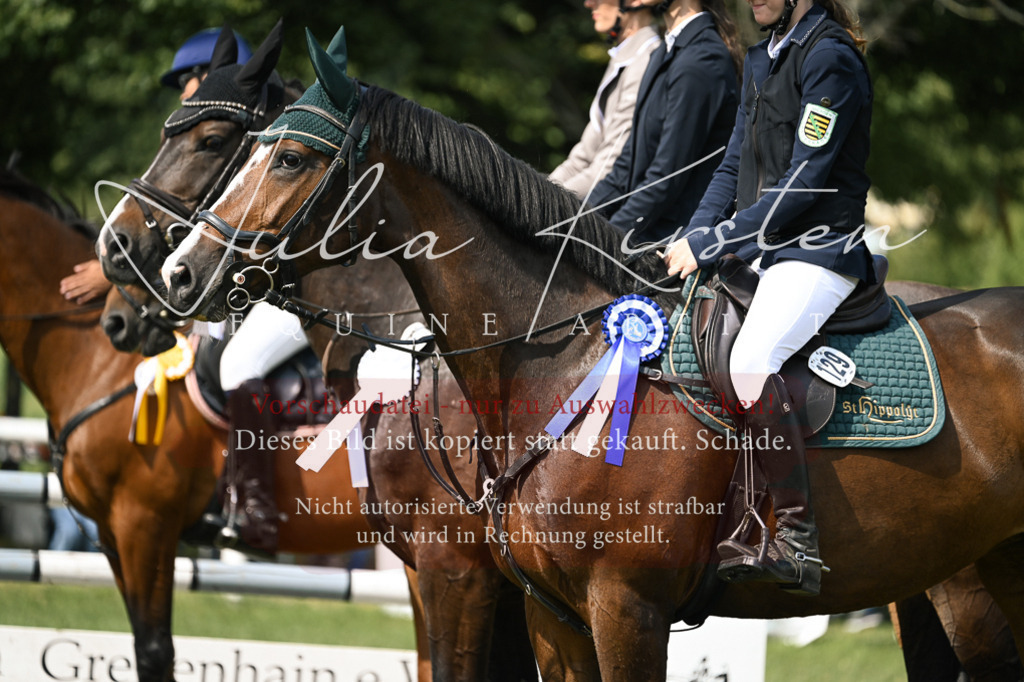 DSC_0704 | Pferde- und Turnierfotografie in Westsachsen. Pferdeportraits, Auftragszeichnungen und intuitive Kunst.