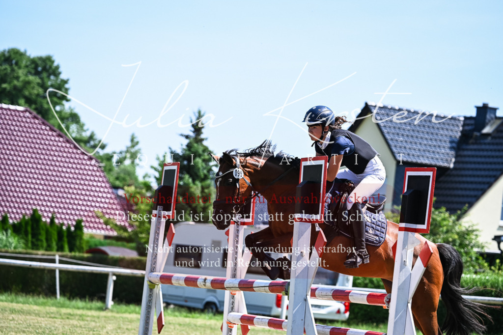 DSC_0924 | Pferde- und Turnierfotografie in Westsachsen. Pferdeportraits, Auftragszeichnungen und intuitive Kunst.