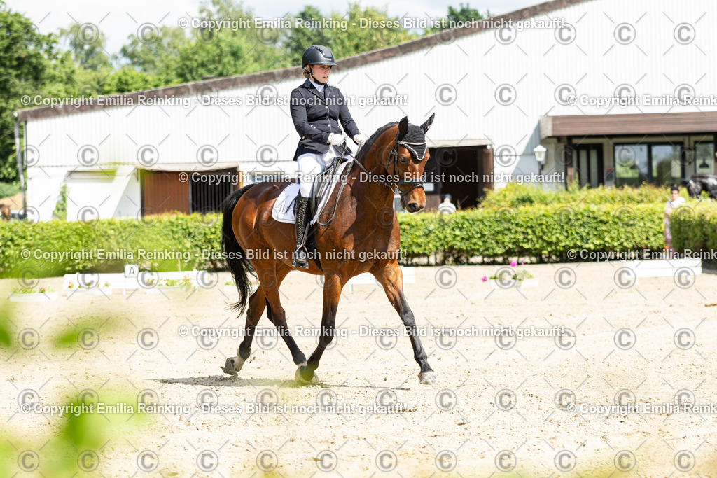 CL5A3800-2 | Emilia Reinking Fotografie - Realisiert mit Pictrs.com