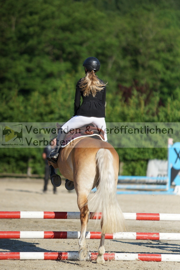 DSC05878 | equestrian-live-com