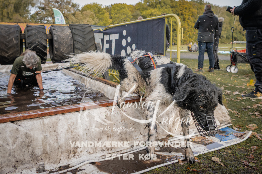 1459_ZZ90834 | kk-dogfotos