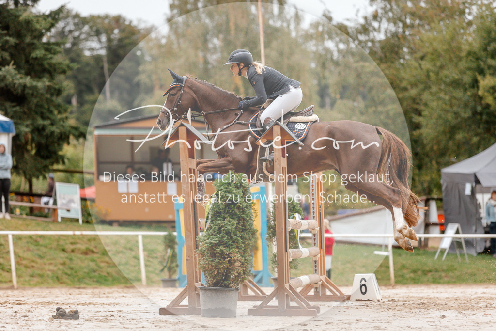 3I6A5804 | Stimmungsvolle Portraits und Reitsportfotografie im Ruhrgebiet und im Münsterland.

Pferdefotografie, Hundefotografie, Tierfotografie, Reportagen, Portraits von Tier und Mensch, Turnierfotografie in Bochum, Recklinghausen, Marl, Haltern am See, Dülmen.. - Realisiert mit Pictrs.com