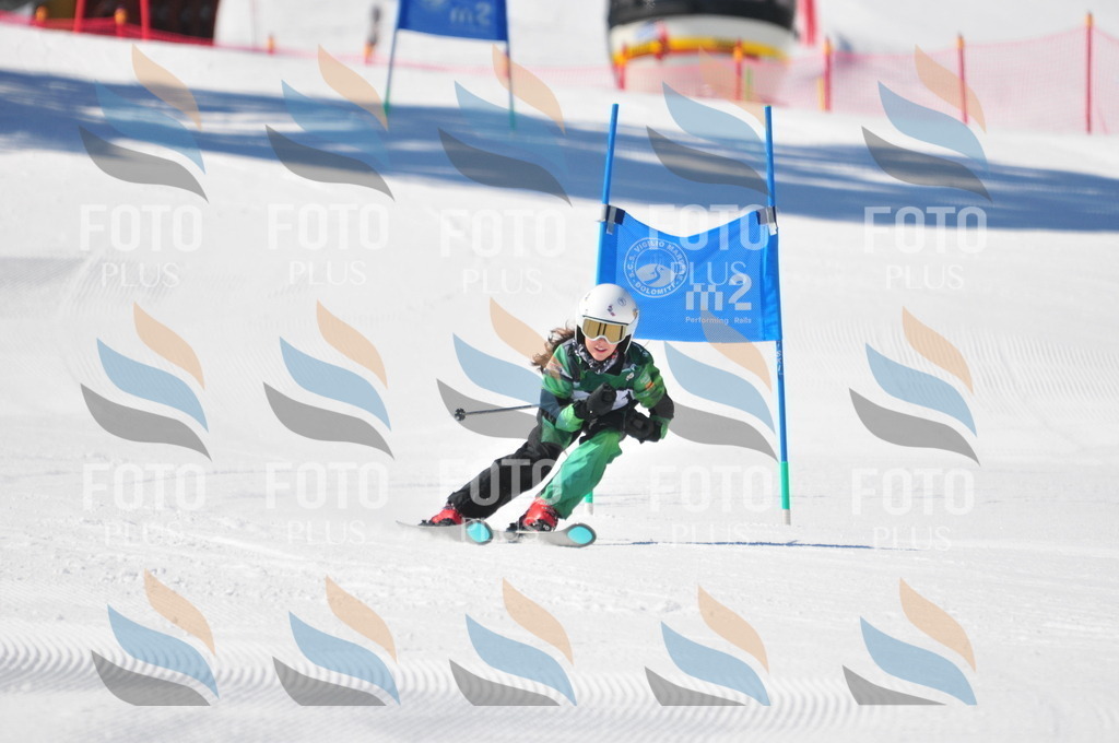 C3268 | holidayphoto