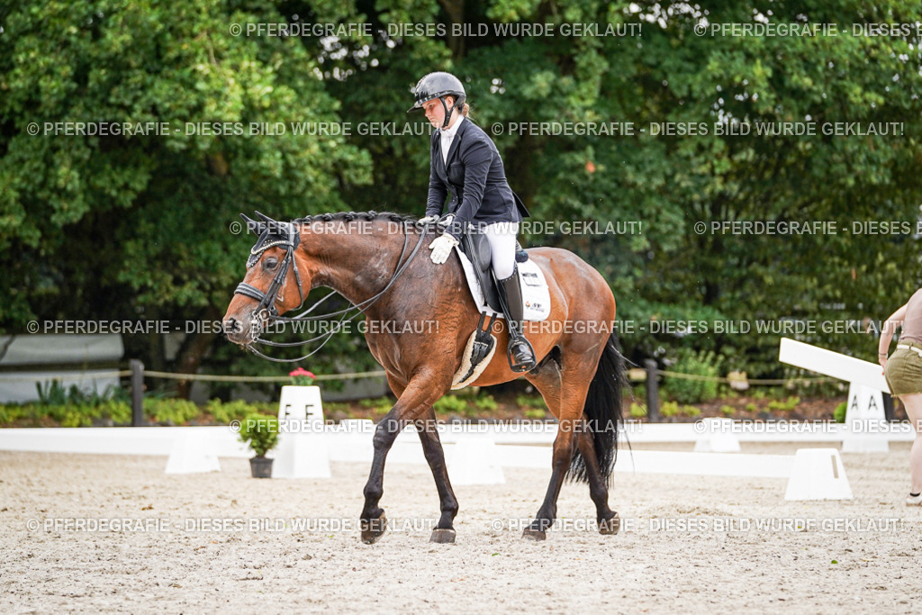 DSC08327 | Pferdegrafie