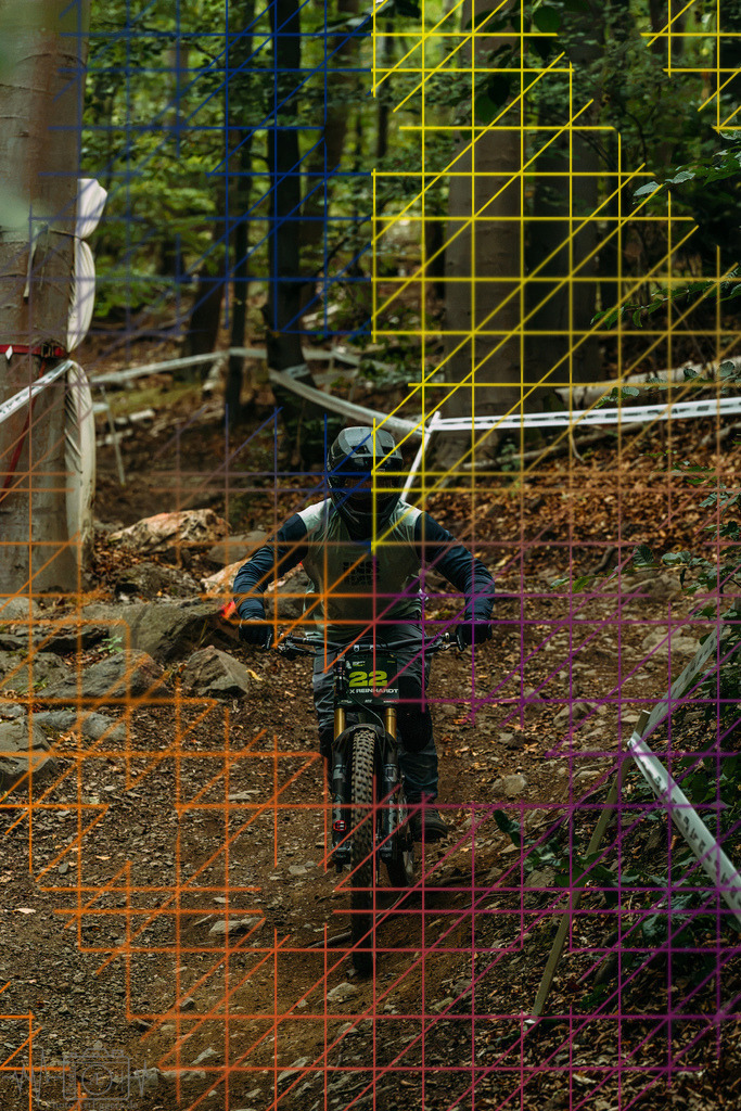 PAE-0816 | Einzigartige Fotokunst für dein Zuhause: Entdecke hochwertige Wandbilder, edle Prints und emotionale Motive von Wildlife, Natur und Landschaften - Realisiert mit Pictrs.com