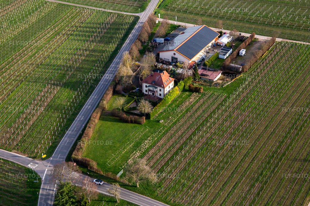 Luftbild: Villa Hochdörffer - Weingut & Gästehaus im Ortsteil Nußdorf in Landau im Bundesland Rheinland-Pfalz in Deutschland. Foto: IMG_140063.jpg vom 14.03.2024 durch Werner Riehm/FLY-FOTO.deWeingut Villa Hochdörffer