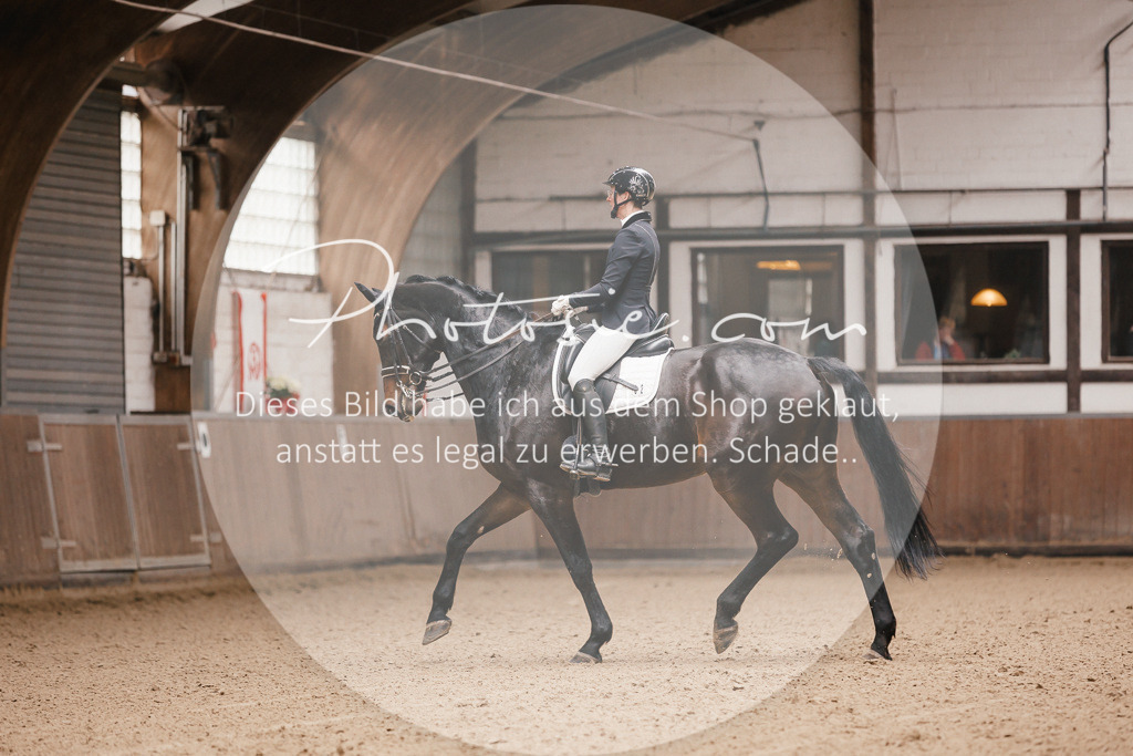 3I6A8234 | Stimmungsvolle Portraits und Reitsportfotografie im Ruhrgebiet und im Münsterland.

Pferdefotografie, Hundefotografie, Tierfotografie, Reportagen, Portraits von Tier und Mensch, Turnierfotografie in Bochum, Recklinghausen, Marl, Haltern am See, Dülmen.. - Realisiert mit Pictrs.com