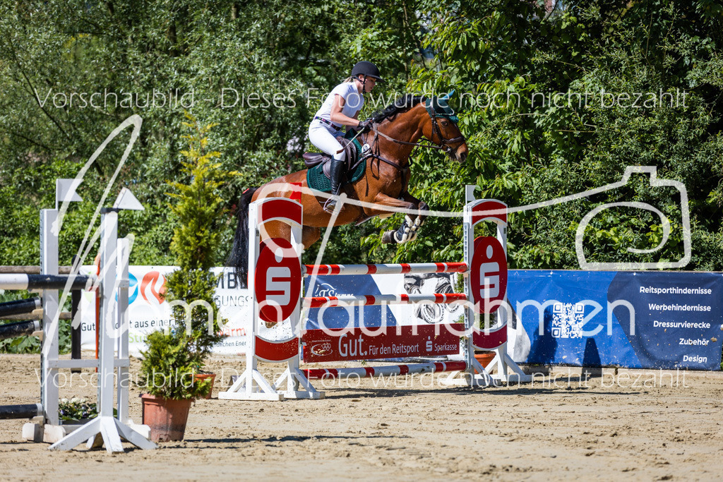 Donop24-M-Spr-015 | MomenTaufnahmen Pferdesportfotos