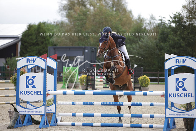 1J2A9287Nadja Freya Müller_ Umero 9_ Kn944_ Havekost | Foto- und Videografie für alles rund ums Pferd. Hochwertige Bilder und Videos vom Spring- und Dressurreiten, Voltigieren & mehr. Jetzt aktuelle Veranstaltungen und Preise im Shop ansehen. - Realisiert mit Pictrs.com