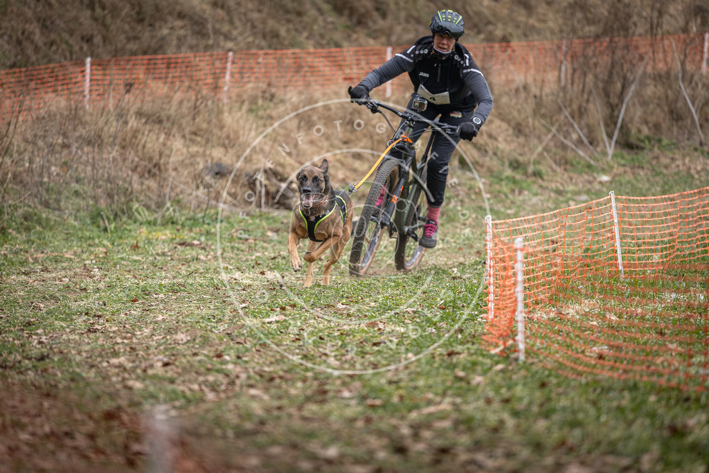 Pfotenfotografie_DV3A6242 | Hundefotografie, Tierfotograf, Pfotenfotografie, Fotoshooting Hund, Hunde Portrait, Hundesport, Hundeportraits, Heideshooting, Hunde, Sportfotograf, Hundefotograf, Turnierhundsport, THS,  - Realisiert mit Pictrs.com