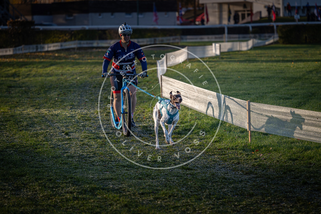 CaniXpix_0L8A2225 | Hundefotografie, Tierfotograf, Pfotenfotografie, Fotoshooting Hund, Hunde Portrait, Hundesport, Hundeportraits, Heideshooting, Hunde, Sportfotograf, Hundefotograf, Turnierhundsport, THS,  - Realisiert mit Pictrs.com