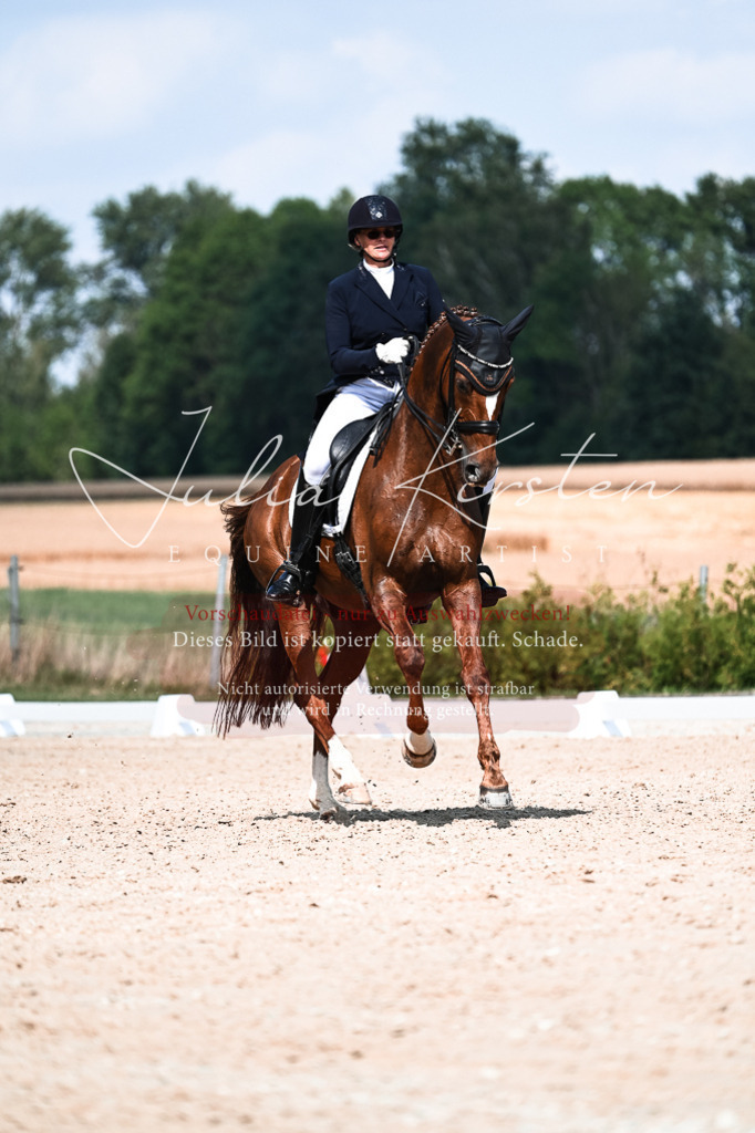 DSC_3221 | Pferde- und Turnierfotografie in Westsachsen. Pferdeportraits, Auftragszeichnungen und intuitive Kunst.