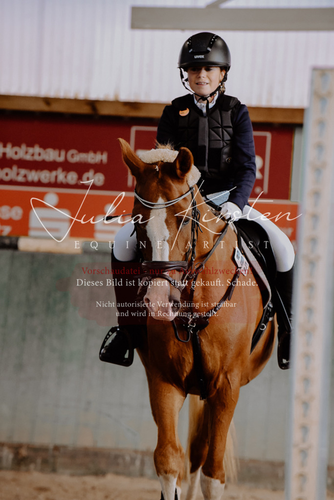 DSC_7466 | Pferde- und Turnierfotografie in Westsachsen. Pferdeportraits, Auftragszeichnungen und intuitive Kunst.