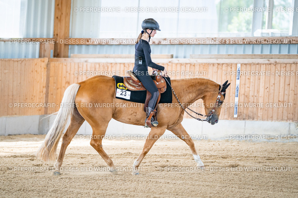 DSC04568 | Pferdegrafie