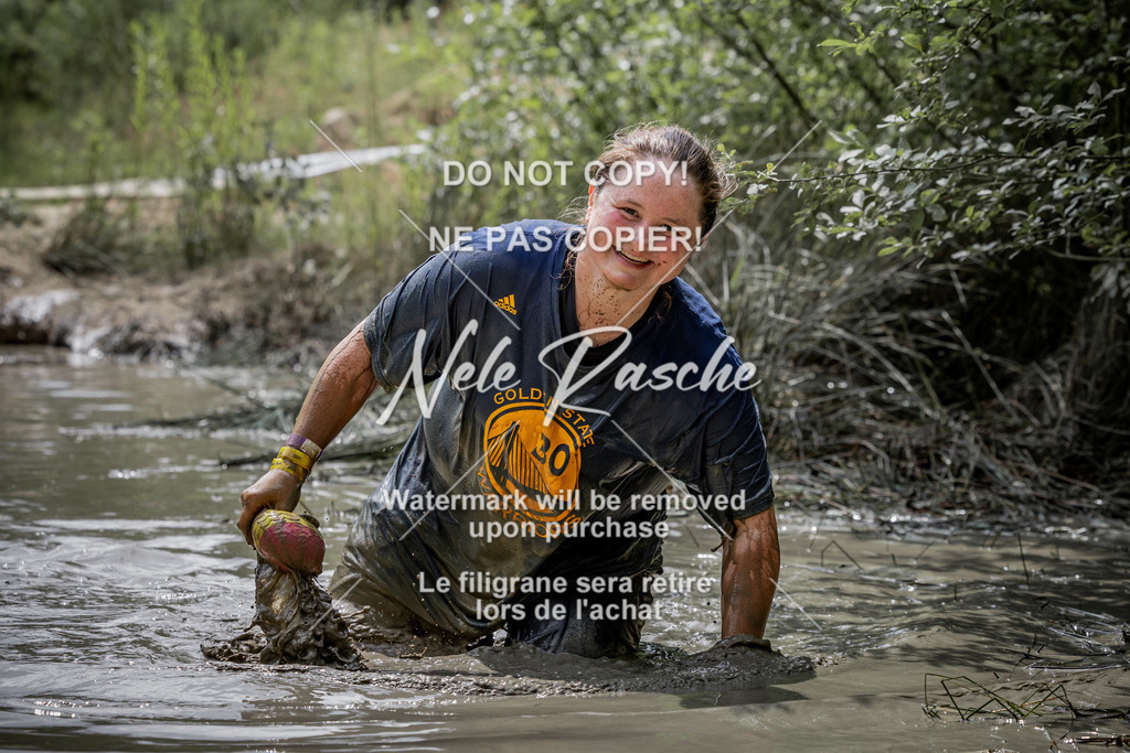 nelerasche_so1230-1300_293 | nelerasche