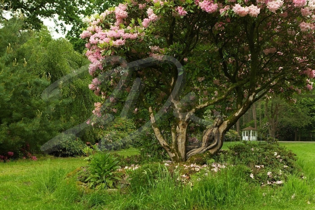 NatureArt-RHODOPARK_7860 | Vor dem kleinen Pavillon | #006 | Modell: Darky | Foto: Andrej Laukart - Realisiert mit Pictrs.com