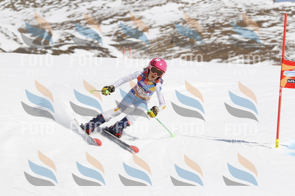 _U3G0898 | holidayphoto