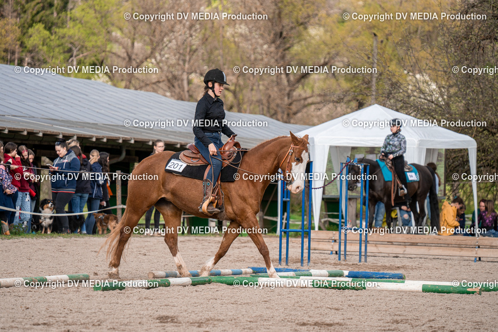 BAL02786 | dv-media-shop - Realisiert mit Pictrs.com