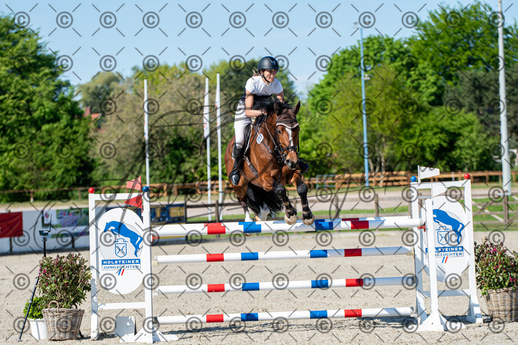 KPT_1575 | andre_photographic