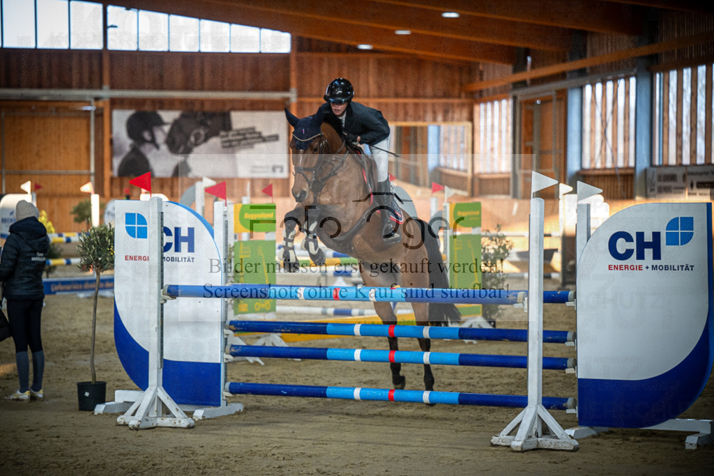 DOS_0933 | Entdecke hochwertige Reitturnierfotos von Foto Oger. Professionell, emotional und authentisch – jetzt Lieblingsmomente im Shop bestellen.Deutschlandweite Turnierfotografie. - Realisiert mit Pictrs.com