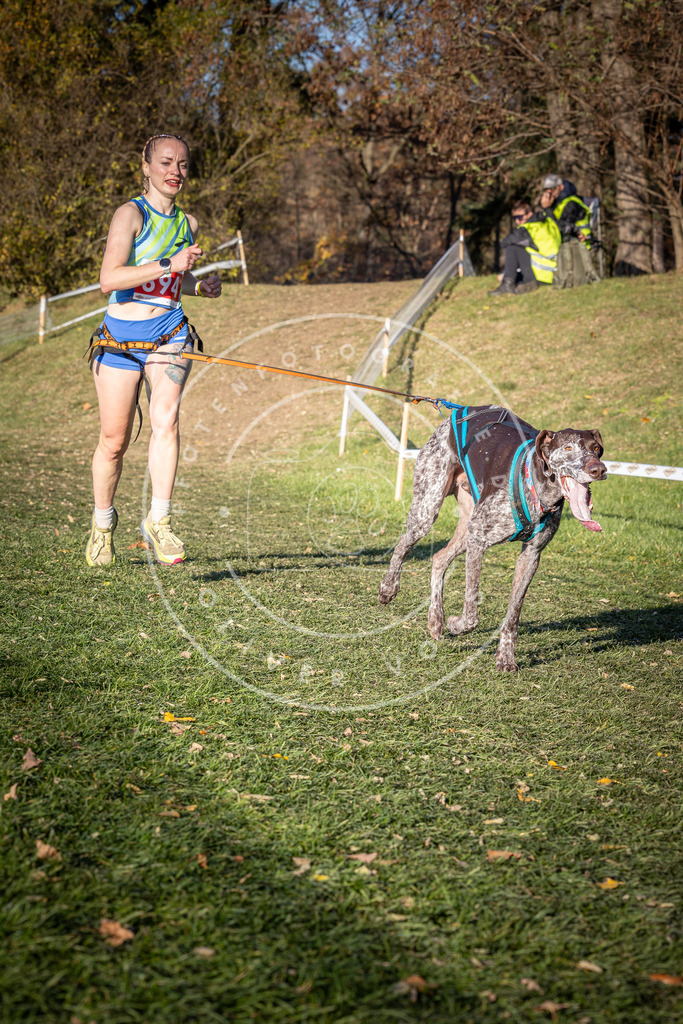 CaniXpix_0L8A9395 | Hundefotografie, Tierfotograf, Pfotenfotografie, Fotoshooting Hund, Hunde Portrait, Hundesport, Hundeportraits, Heideshooting, Hunde, Sportfotograf, Hundefotograf, Turnierhundsport, THS,  - Realisiert mit Pictrs.com