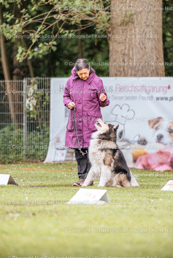 RO-Blumenthal-2026-Nickbest-Hundefotografie-0794 | Dein Hund! Dein Moment! Deine Erinnerungen! Hundefotografie in Bremen Blumenthal. Ich fange die besonderen Momente deines Vierbeiners ein – ob Indoor mit Blitzanlage oder in der freien Natur. Sicher dir dein Moment und dein Termin für eure Erinnerungen.