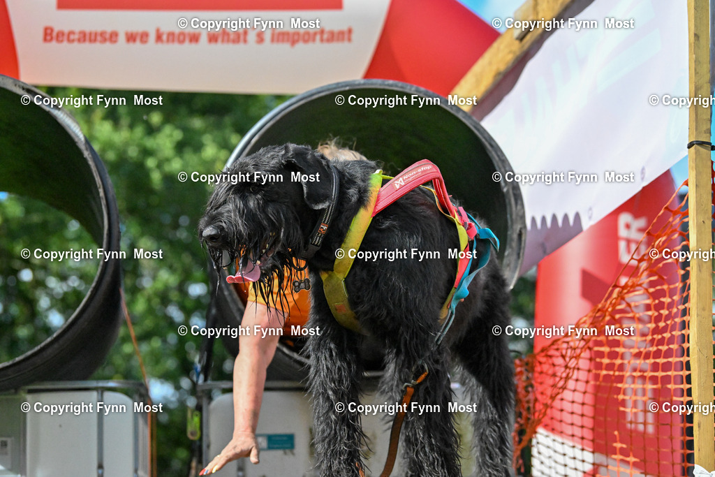 DSC_7625 | Hallo und herzlich Willkommen auf meiner Shop-Seite Fynn Most.

Ich wünsche Dir viel Spaß beim stöbern durch die Bilder, wenn Du Fragen hast oder Bilder vermisst, kannst du mir gerne eine Nachricht schreiben. - Realisiert mit Pictrs.com
