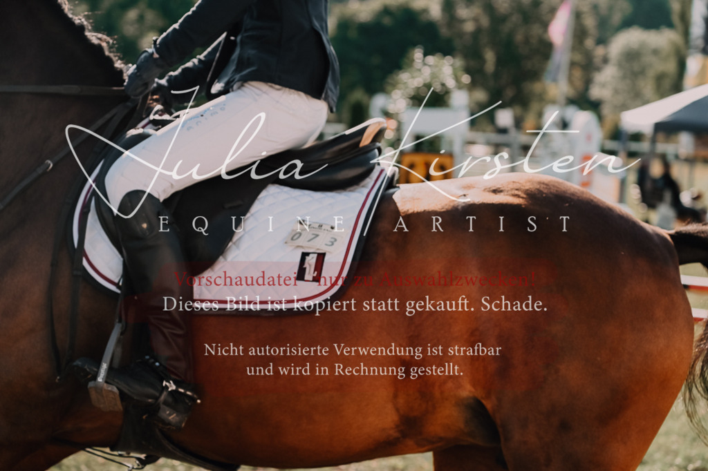 DSC_4681 | Pferde- und Turnierfotografie in Westsachsen. Pferdeportraits, Auftragszeichnungen und intuitive Kunst.