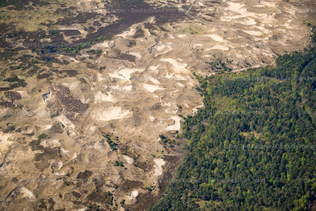 3801836 | Dünen bei Norddorf, Amrum