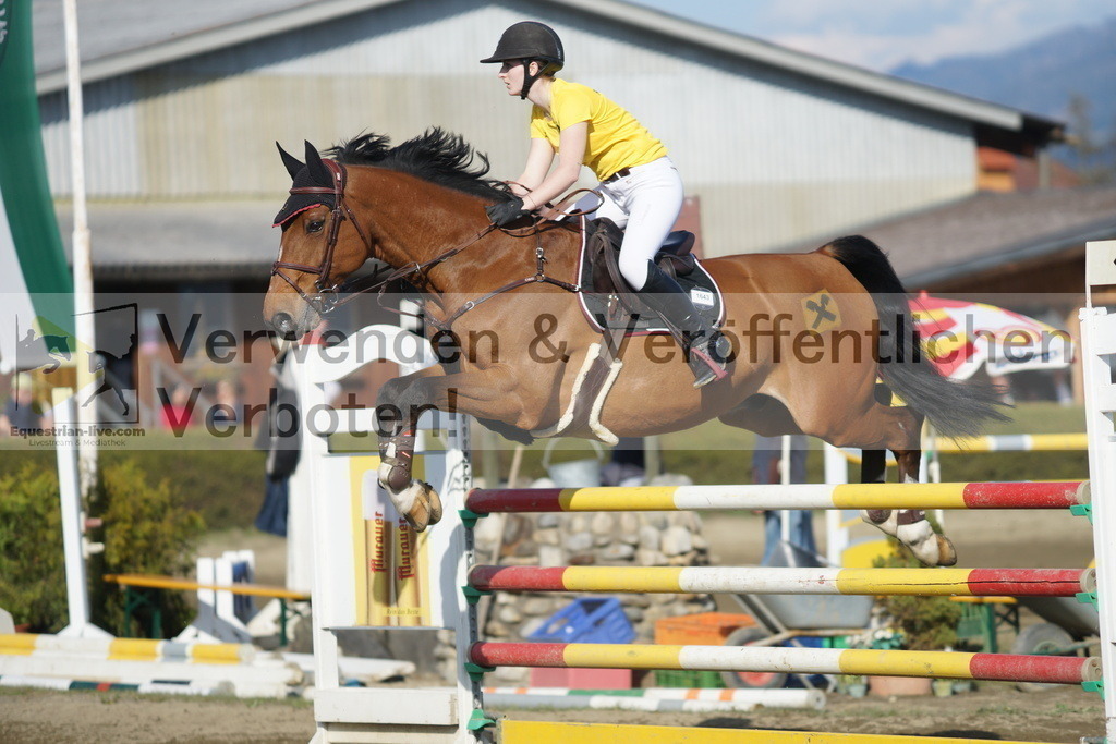 DSC03381 | equestrian-live-com