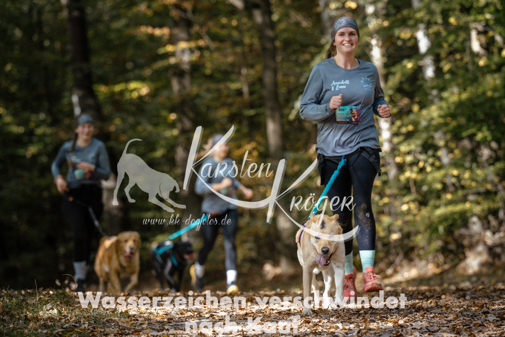 1310_ZZ97455 | kk-dogfotos