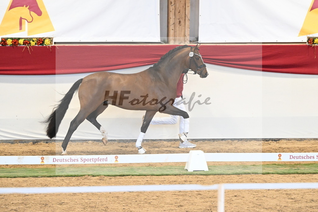Kat.-Nr. 51 v. Fanegro_Gaab_3260514 | hf-fotografie - Realizzato con Pictrs.com
