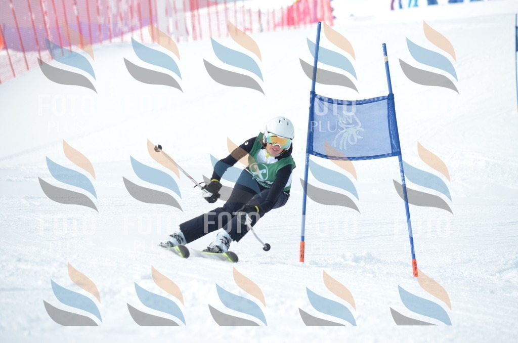 D8878 | holidayphoto