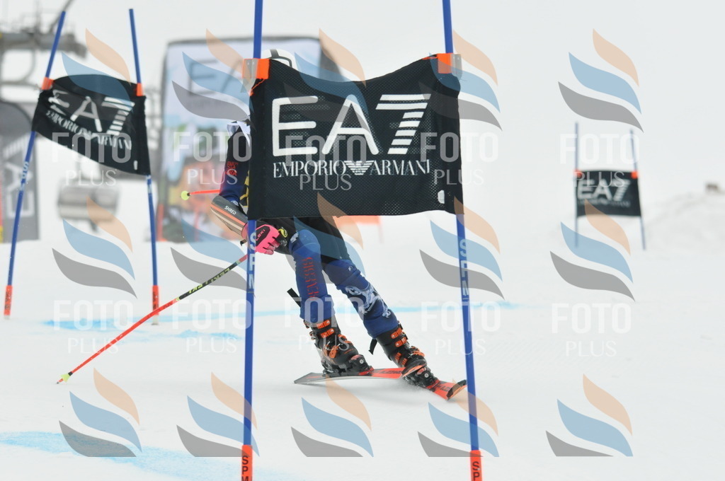 DSC_8724 | holidayphoto