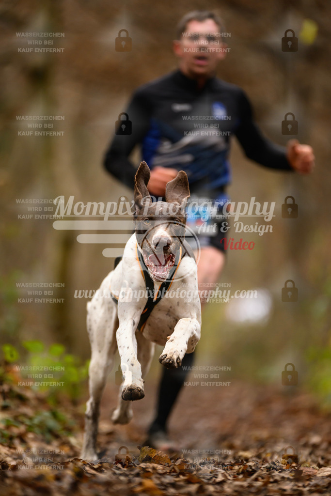 MompixPhotography_Eschau2024_CCC-5 | PayLife