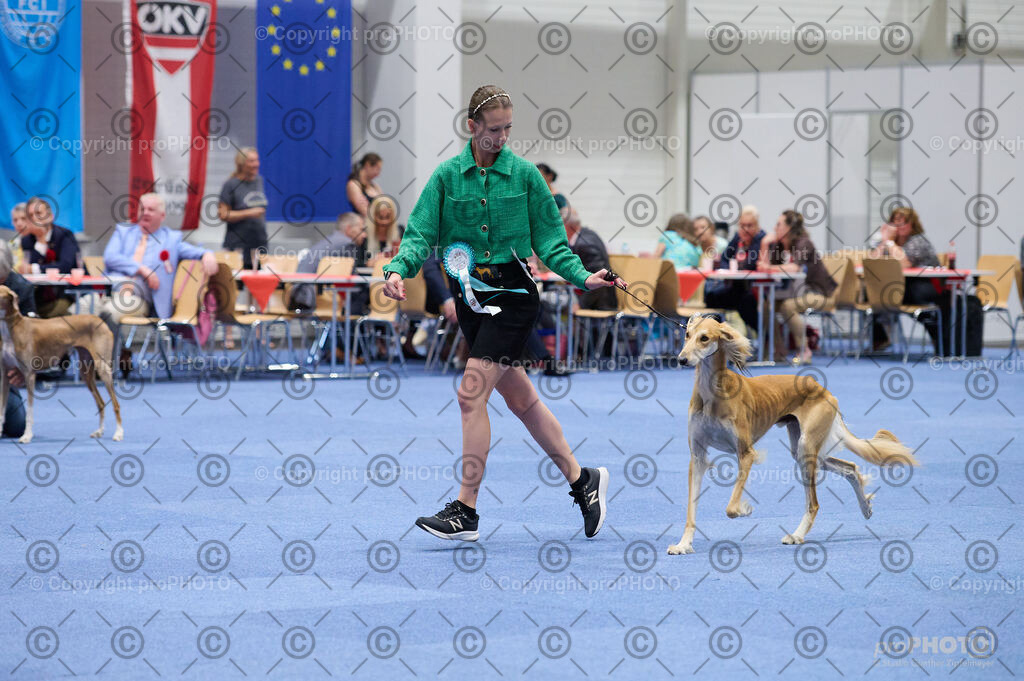 202406_ÖKV-IHA-Tulln24_DSC_3249 | proPHOTO - Realisiert mit Pictrs.com