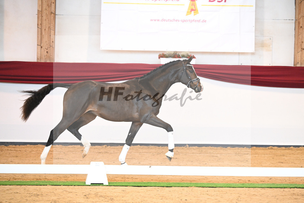 Kat-Nr. 31 v. Ferrantino_Lehner_66221817 | hf-fotografie - Realisiert mit Pictrs.com