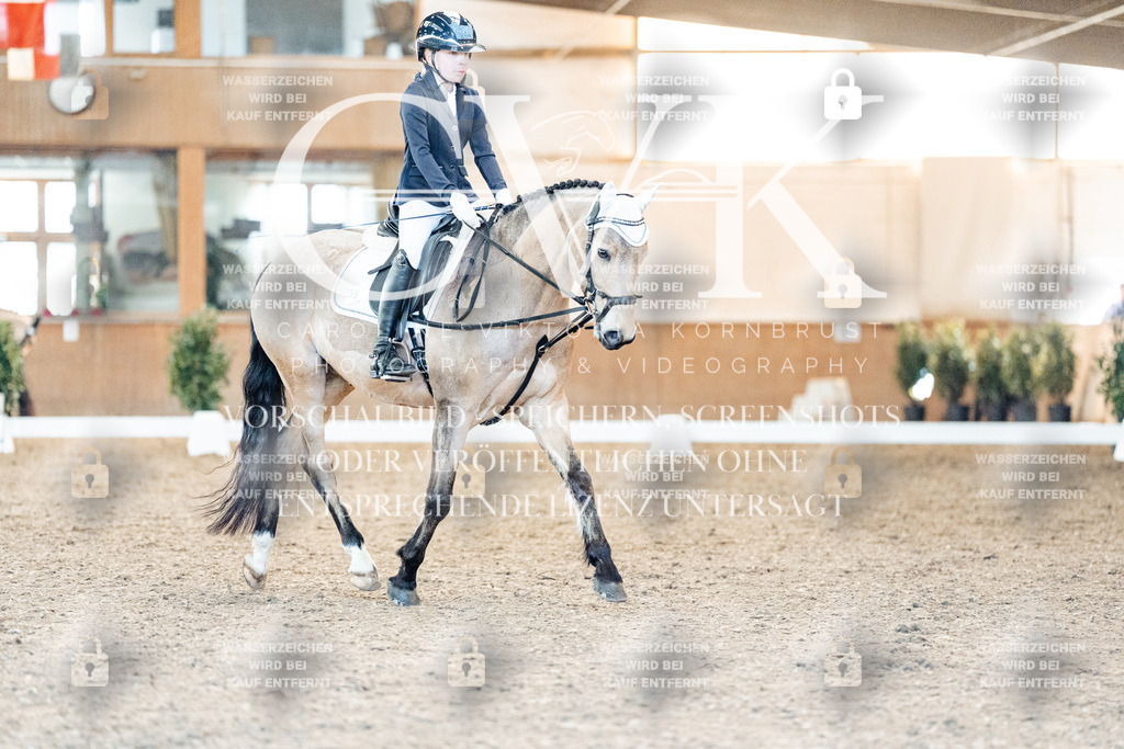 CK907360 | Turnierfotografie Pferdefotografie Trier Rheinland-Pfalz Pferdesport Reitsport Tierfotografie Sportfotografie Pferdevideo Pferdevideografie Equestrianvideography equestrianphotography  - Realisiert mit Pictrs.com