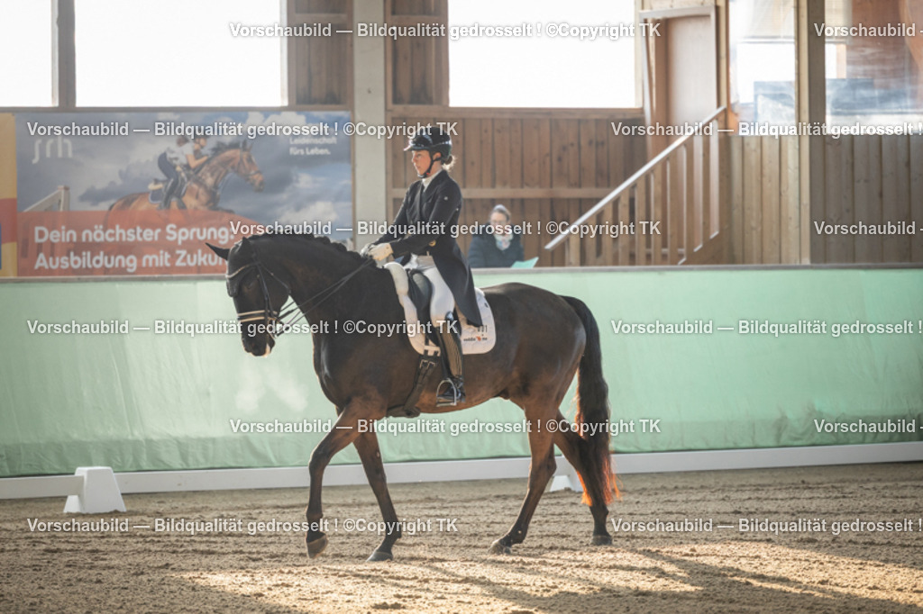 _D5A7666 | Emotionale Pferde- & People-Fotografie rund um Heidelberg, Leimen & Umgebung. Natürliche Fotos von Pferd, Mensch & Familie. Jetzt Termin sichern!