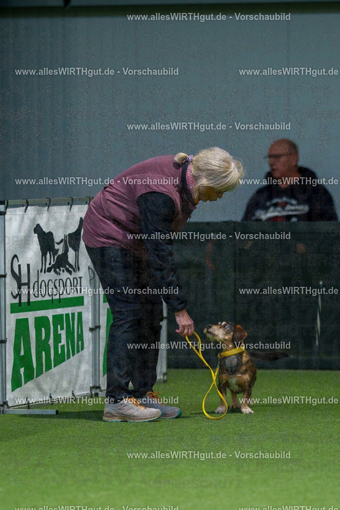 7R505844 | Professionelle Tierfotografie in Mönchengladbach von Daniel Wirth (allesWIRTHgut). Liebevolle & natürliche Bilder von Hunden & Katzen für unvergessliche Erinnerungen.