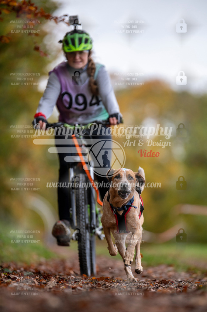 DBT_DAKM_SA_4_11_2023_Bike-41 | PayLife