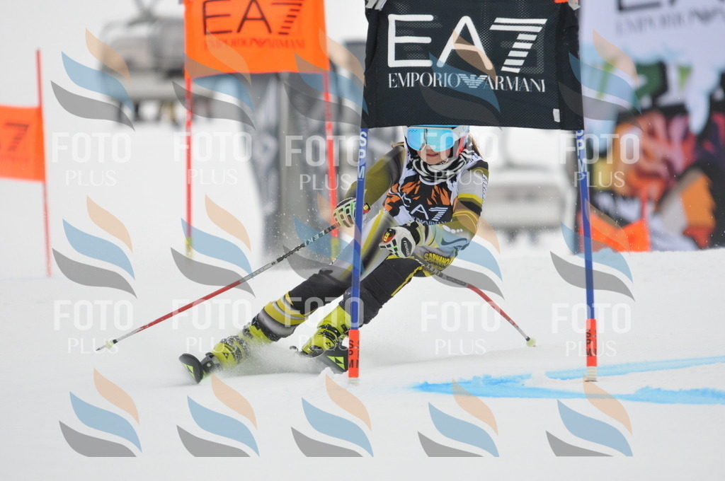 DSC_7526 | holidayphoto