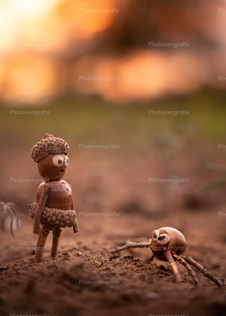 Manni und die Spinne Sieben | Photonengrafie´s Shop - Realisiert mit Pictrs.com