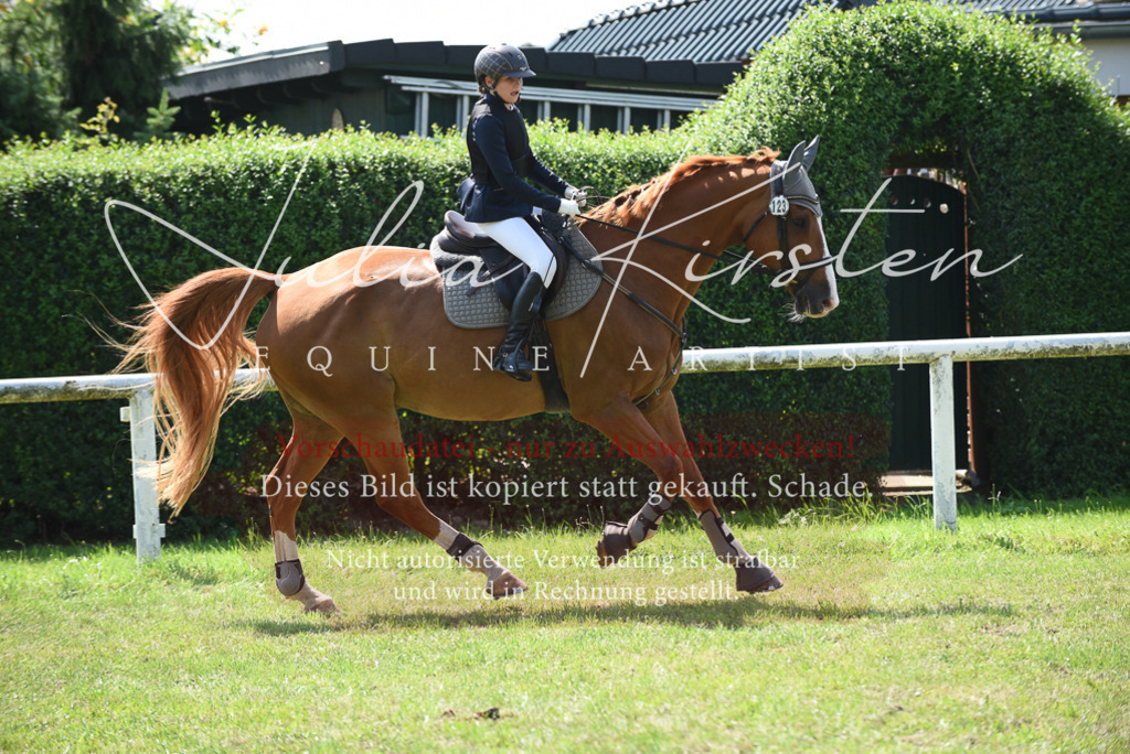 DSC_0079 | Pferde- und Turnierfotografie in Westsachsen. Pferdeportraits, Auftragszeichnungen und intuitive Kunst.