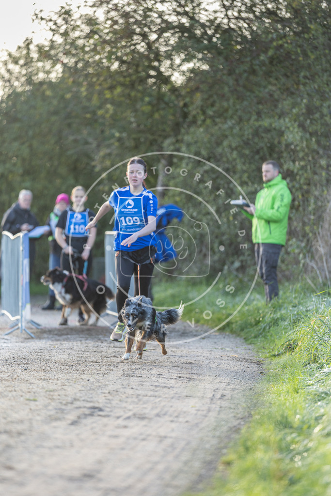 Pfotenfotografie.de_DV3A2518 | Hundefotografie, Tierfotograf, Pfotenfotografie, Fotoshooting Hund, Hunde Portrait, Hundesport, Hundeportraits, Heideshooting, Hunde, Sportfotograf, Hundefotograf, Turnierhundsport, THS, canicross - Realisiert mit Pictrs.com