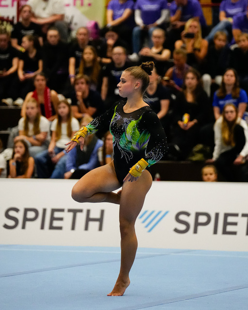 3WKT1BuLi52070 | 3.WKT - 1. Bundesliga der Deutschen Turnliga (DTL) 2025 in KetschDatum: 20251011Ort: Ketsch(DE) - NeurotthalleFotograf: Christian Habel