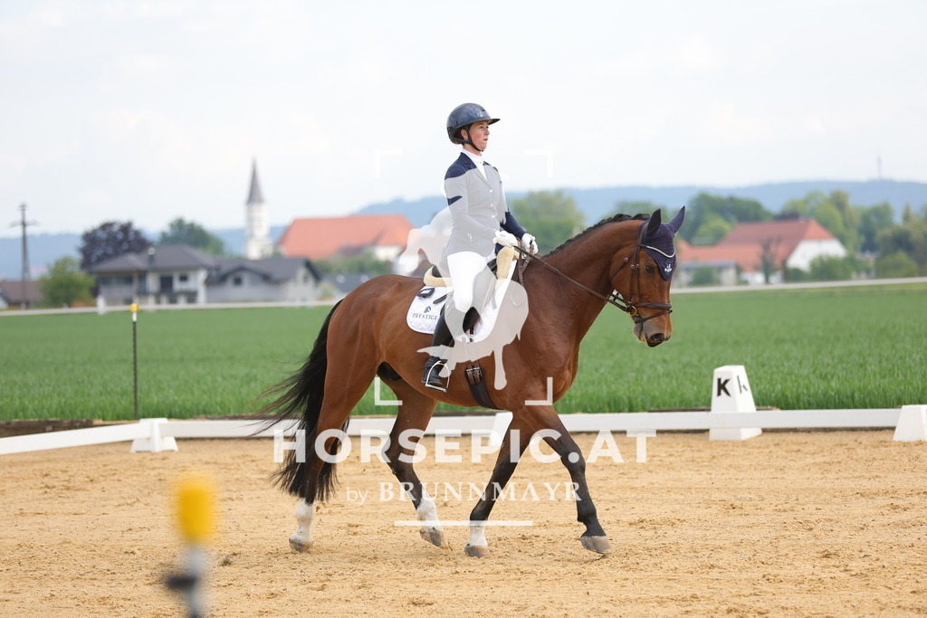 0P6A9767 | Willkommen bei Brunnmayr - Design & Fotografie – Ihrem Spezialisten für Reitturniere und Pferdeveranstaltungen in Oberösterreich, Salzburg und Bayern! Seit über 17 Jahren sind wir leidenschaftlich dabei.