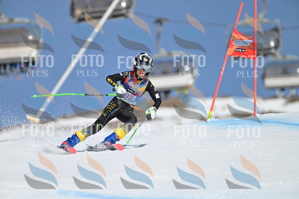 BGV_9309 | holidayphoto