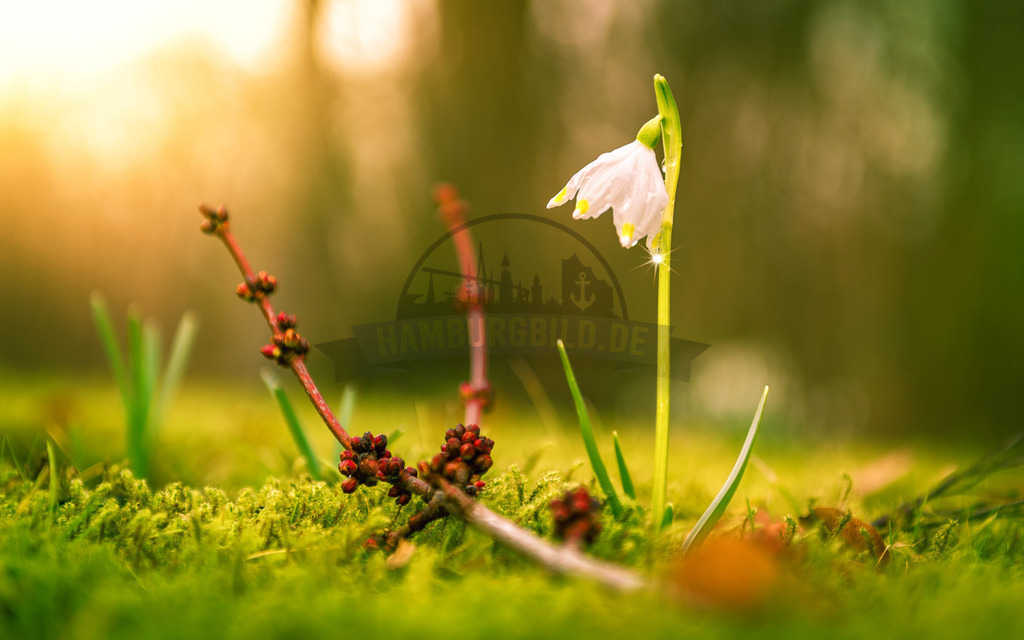 stativkunst-750 | Exklusive Hamburg collagen, tolle Segelbilder und viele weitere tolle Motive auf Leinwand, Poster, Alu-Dibond, u.v.m. findet Ihr bei uns auf hamburgbild.de. Findet Euer Wandbild für Euer Zuhause, Büro oder die  Praxis…. - Realisiert mit Pictrs.com