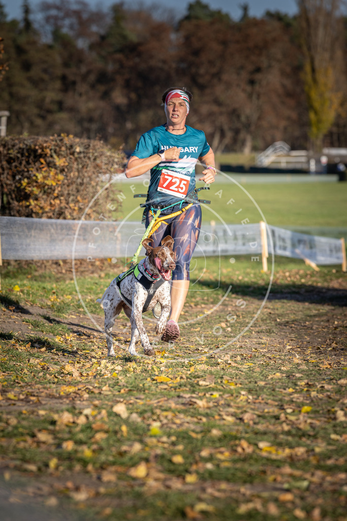 CaniXpix_DV3A1934 | Hundefotografie, Tierfotograf, Pfotenfotografie, Fotoshooting Hund, Hunde Portrait, Hundesport, Hundeportraits, Heideshooting, Hunde, Sportfotograf, Hundefotograf, Turnierhundsport, THS,  - Realisiert mit Pictrs.com